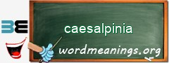 WordMeaning blackboard for caesalpinia